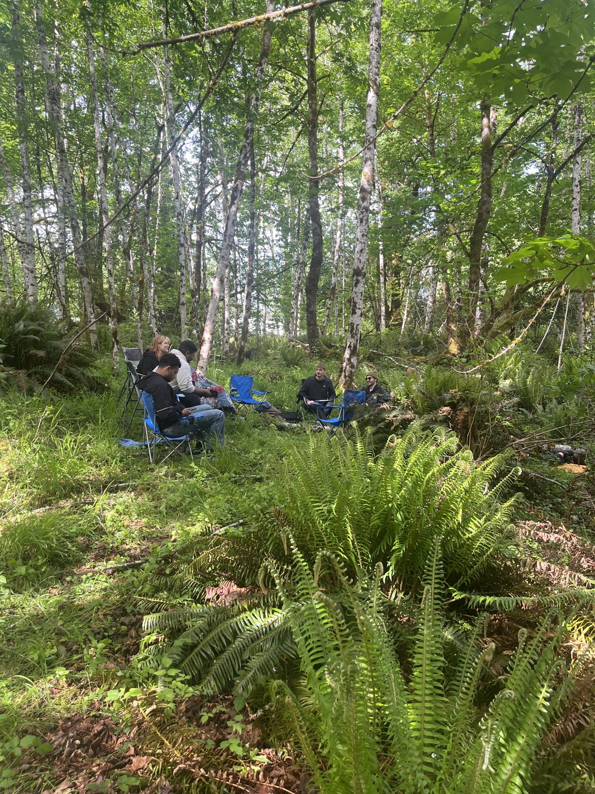 Team session among ferns in the forest